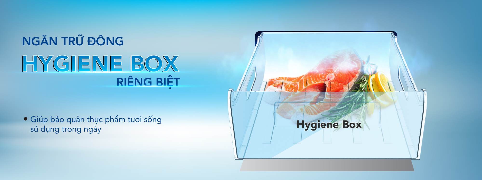Tủ đông Hòa Phát đứng HUF 300SR1 tại thành phố Hồ Chí Minh