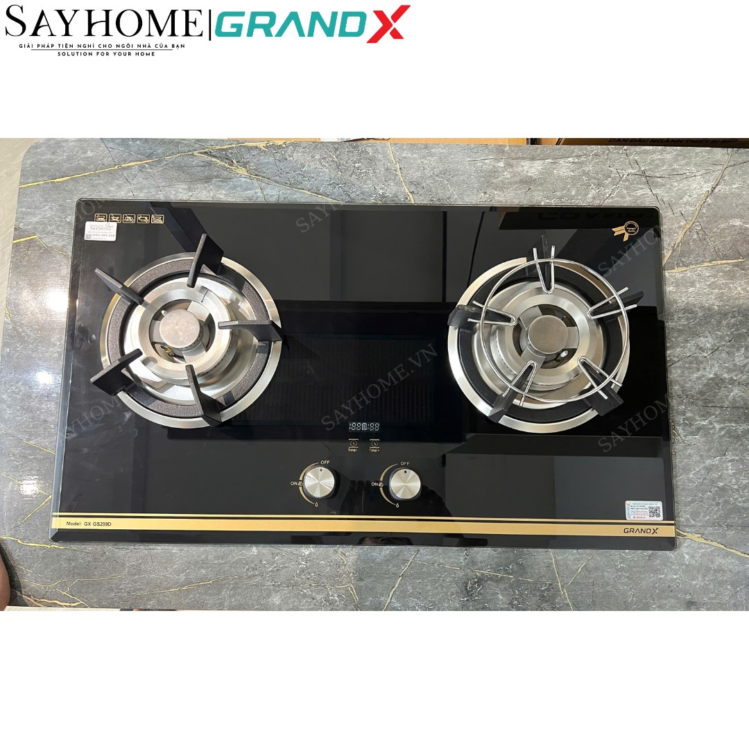Bếp ga đôi GRANDX GX GS299D tại Thành phố Hồ Chí Minh