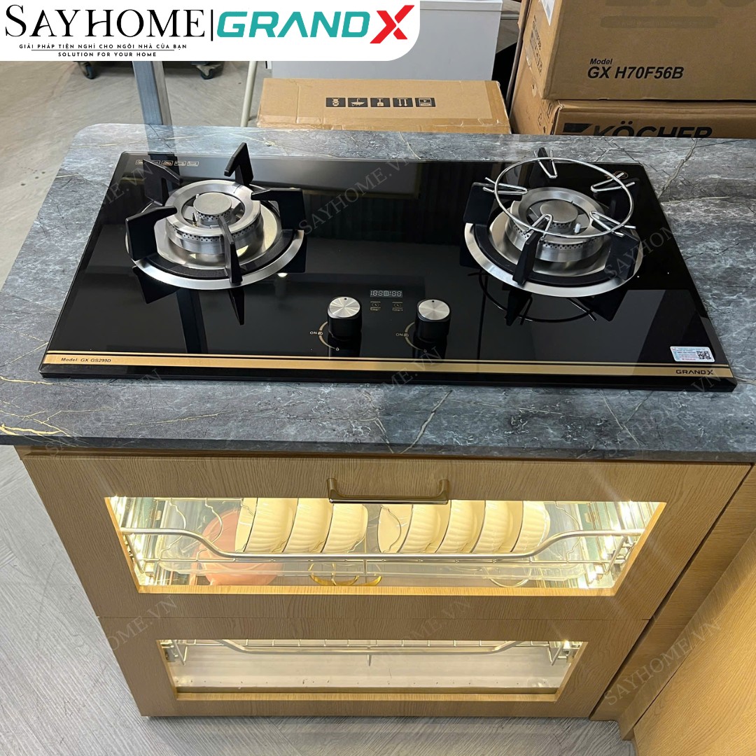Bếp ga đôi GRANDX GX GS299D tại Thành phố Hồ Chí Minh