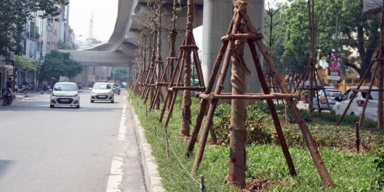 GIẢI PHÁP CANH TÁC CÂY XANH ĐÔ THỊ: TRỒNG CÂY BẰNG MÁY KHOAN ĐẤT OSHIMA ĐỘNG CƠ MẠNH MẼ