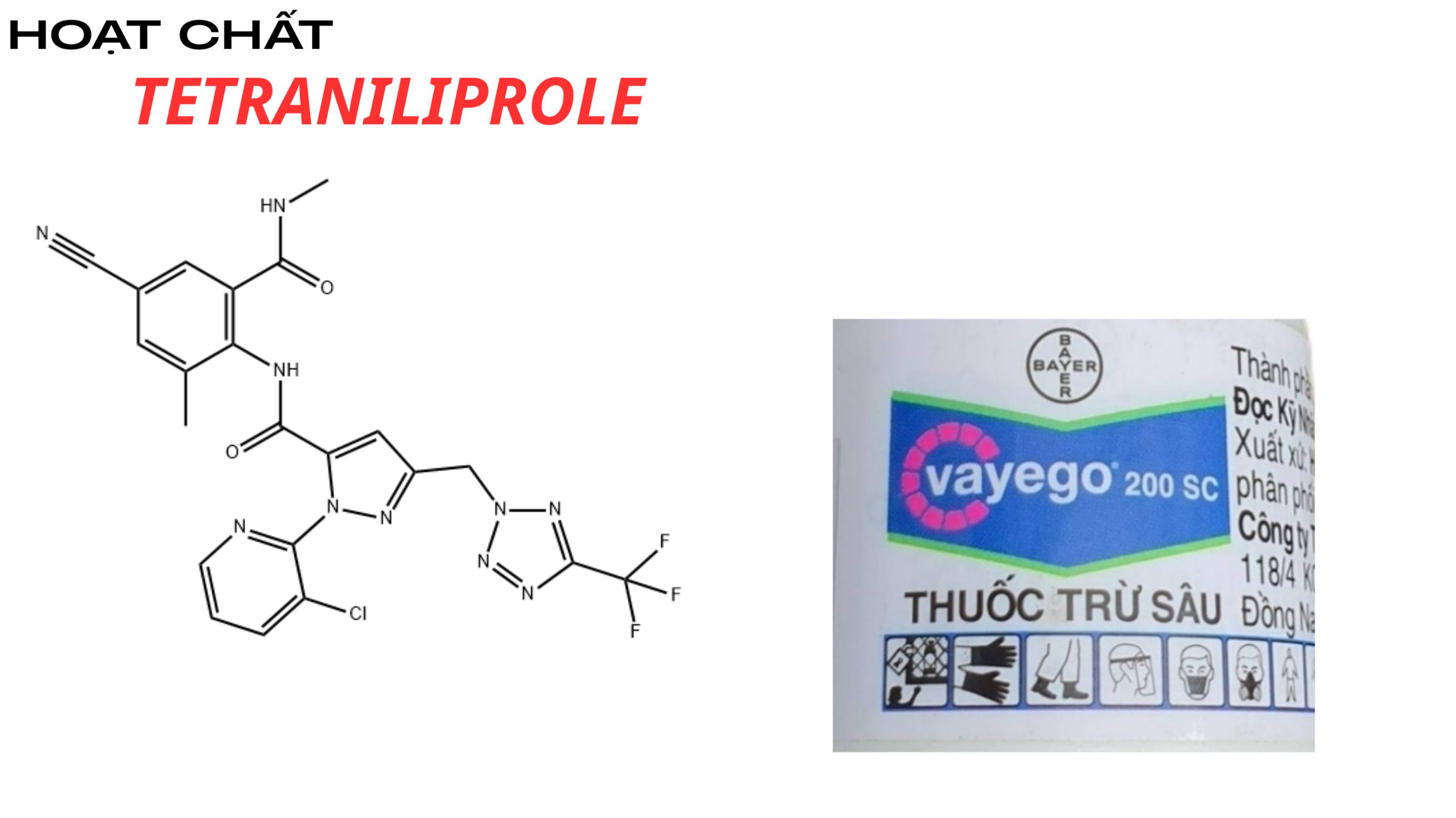 Hoạt chất tetraniliprole