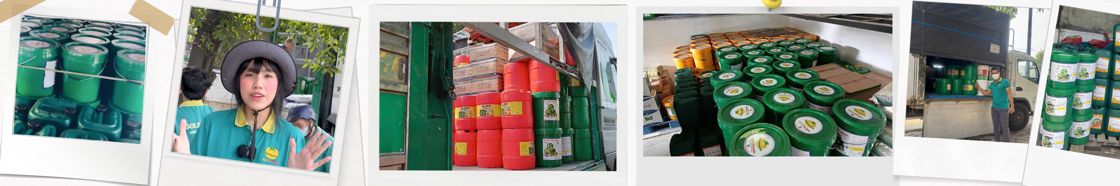 Phân bón Gold Tomato