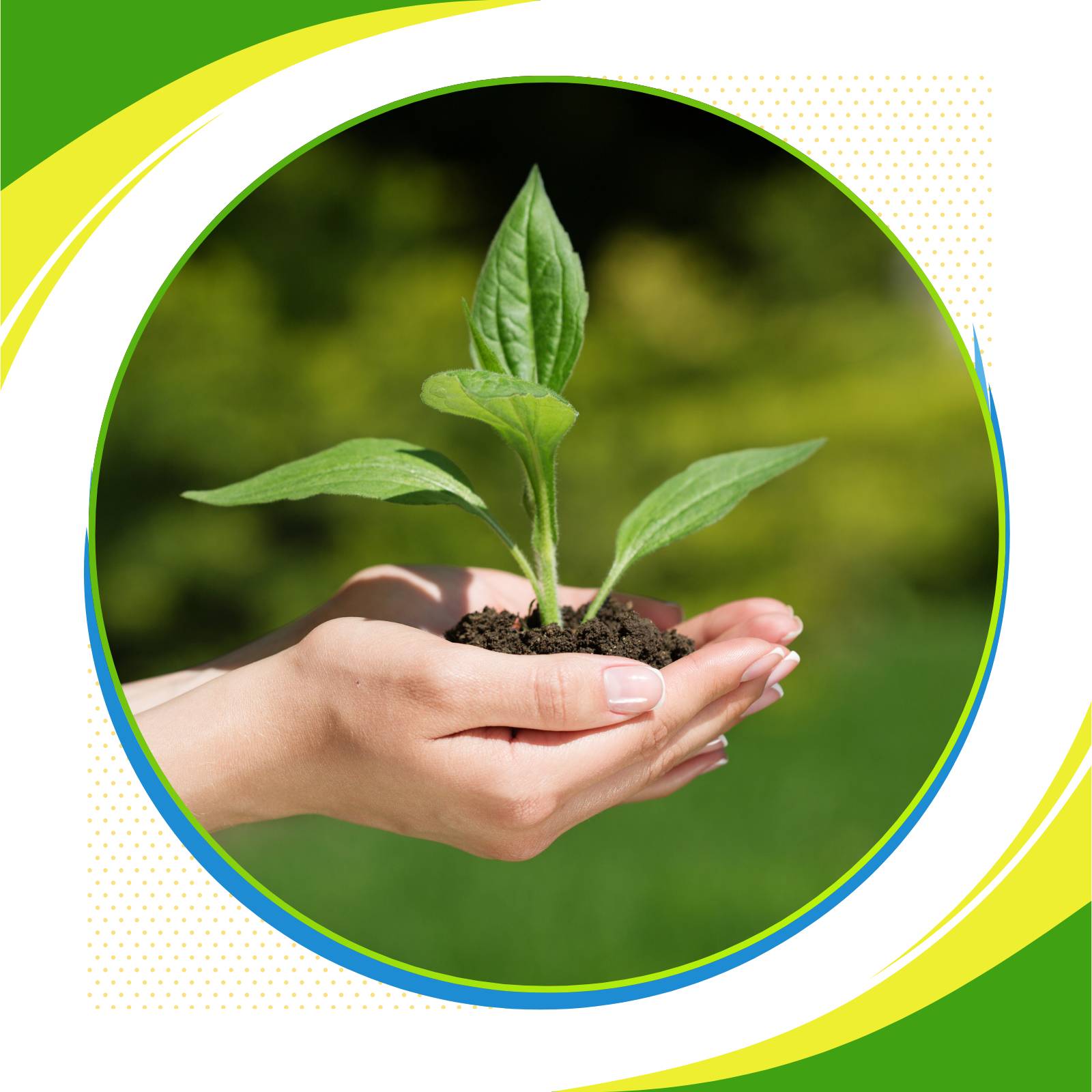 Bảo vệ cây trồng