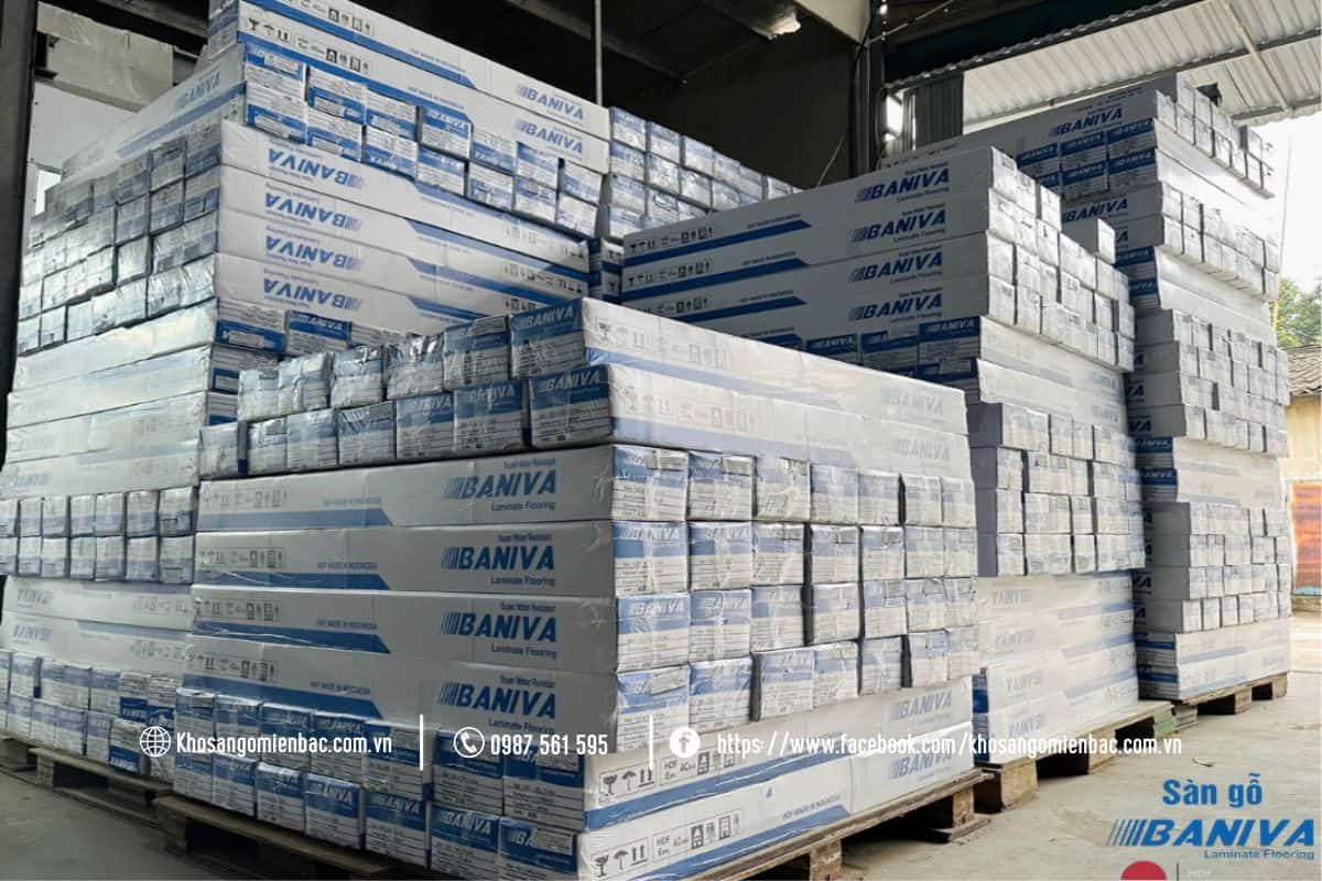 Sàn gỗ Baniva về hàng liên tục tại Kho Sàn Gỗ Miền Bắc
