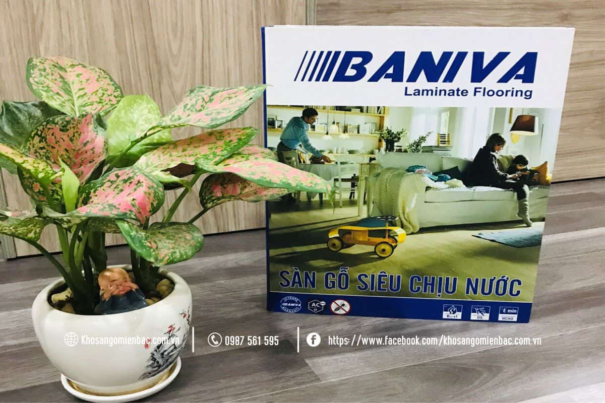 Sàn gỗ Baniva cốt xanh chống ẩm