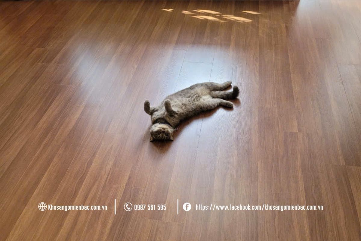 Báo giá Sàn gỗ Robina CE21 cao cấp