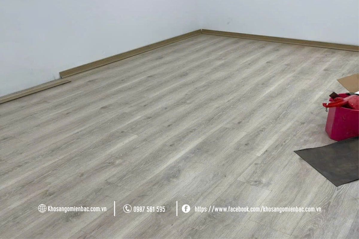 Báo giá Robina TWS221 tại Hà Nội