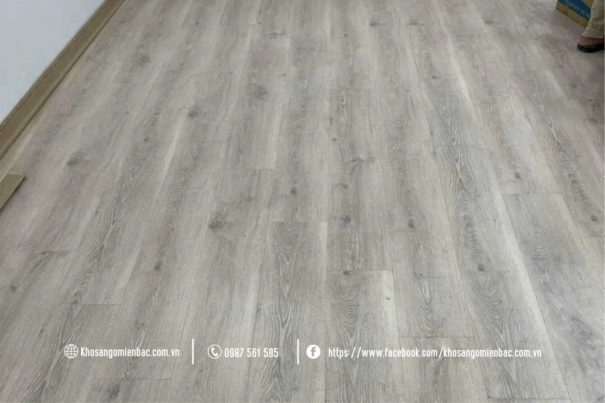 Thi công Sàn gỗ Robina TWS221 tại Thái Nguyên