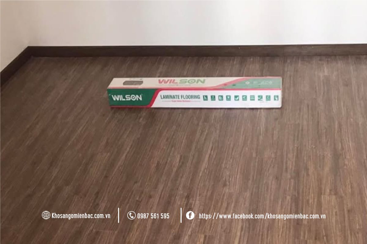 Thi công sàn gỗ Wilson W441 - 8mm tại Hà Nội