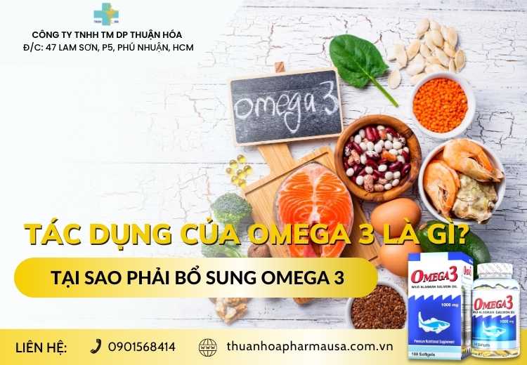 TÁC DỤNG CỦA OMEGA 3 LÀ GÌ? TẠI SAO PHẢI BỔ SUNG OMEGA 3