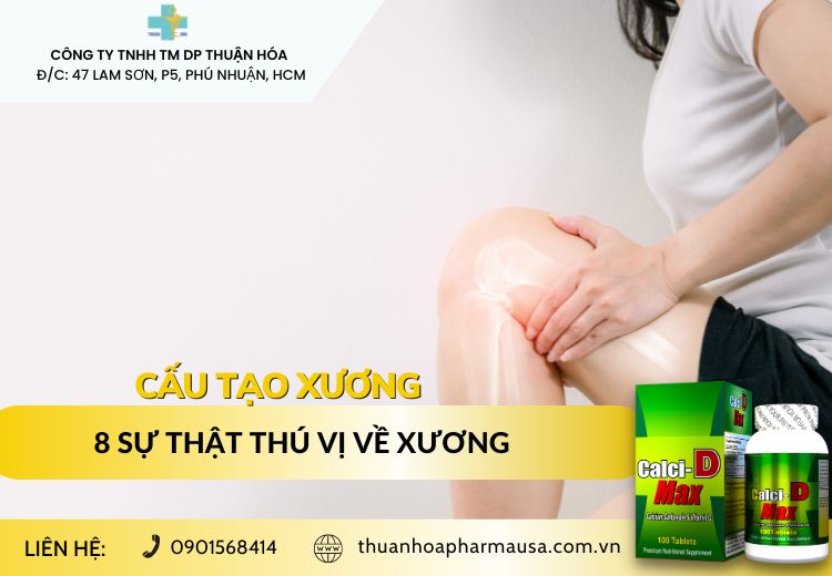 XƯƠNG: CẤU TẠO VÀ 8 SỰ THẬT THÚ VỊ VỀ XƯƠNG