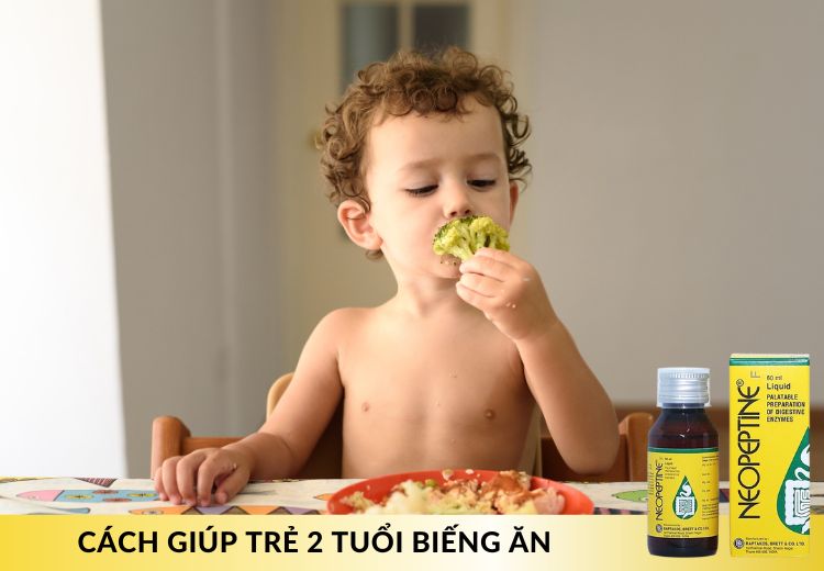 CÁCH GIÚP TRẺ 2 TUỔI BIẾNG ĂN