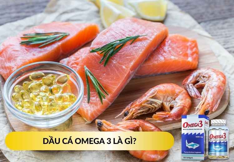 DẦU CÁ OMEGA 3 LÀ GÌ?