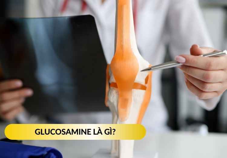 GLUCOSAMINE 