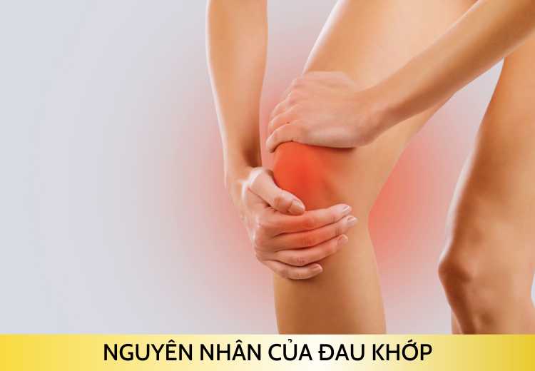 NGUYÊN NHÂN CỦA ĐAU KHỚP