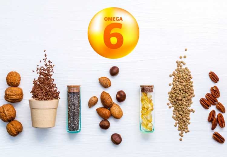 OMEGA 6