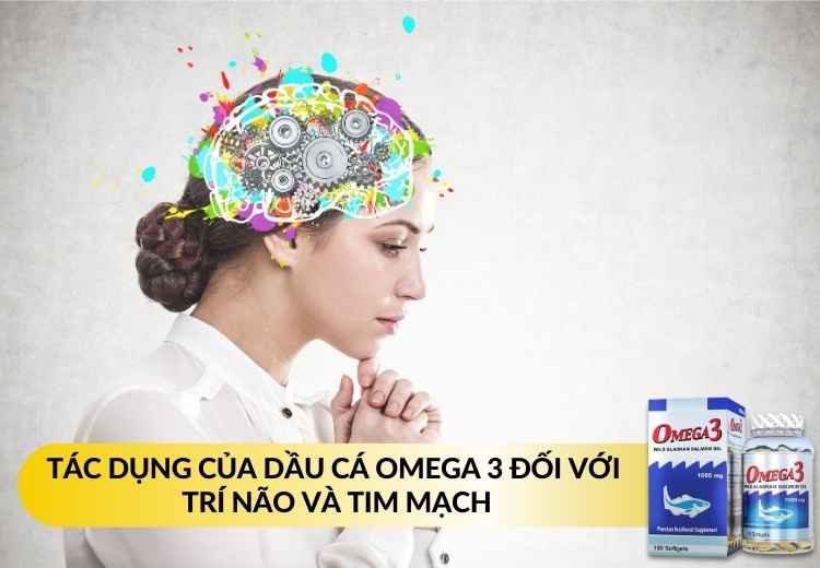 TÁC DỤNG CỦA DẦU CÁ OMEGA 3 ĐỐI VỚI TRÍ NÃO VÀ TIM MẠCH