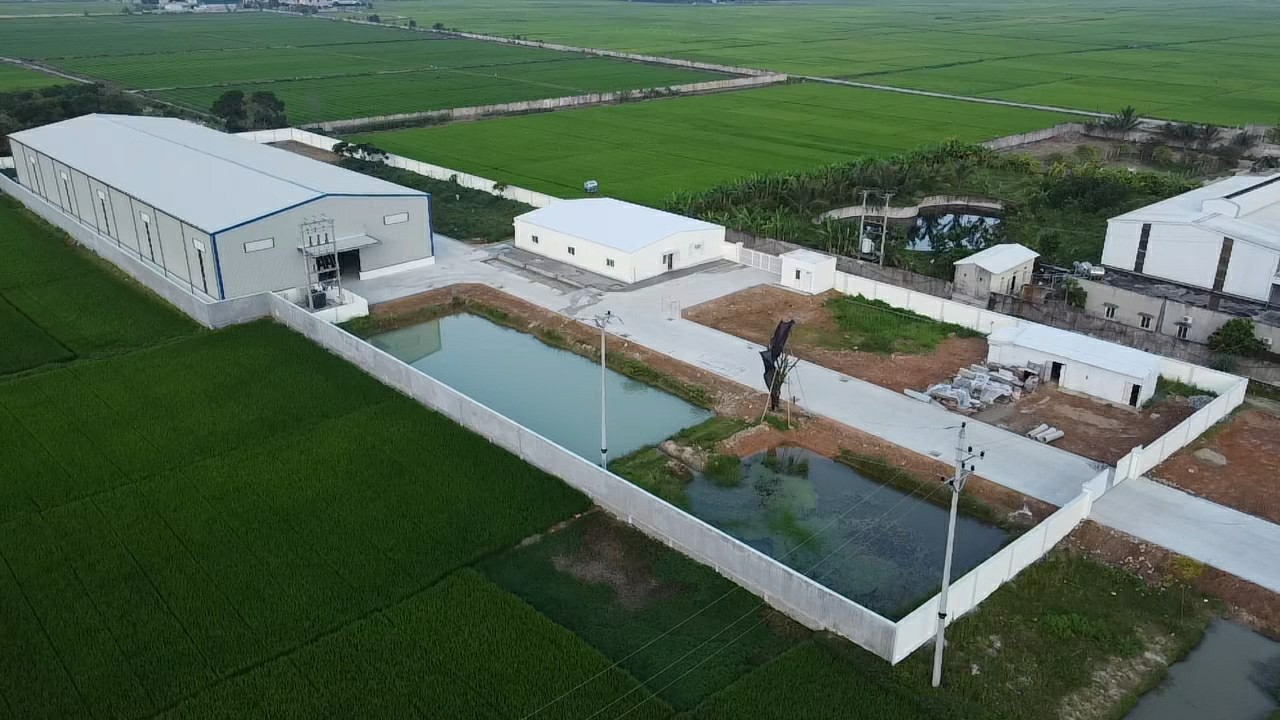 Xây dựng Xưởng Hạt nhựa P.E