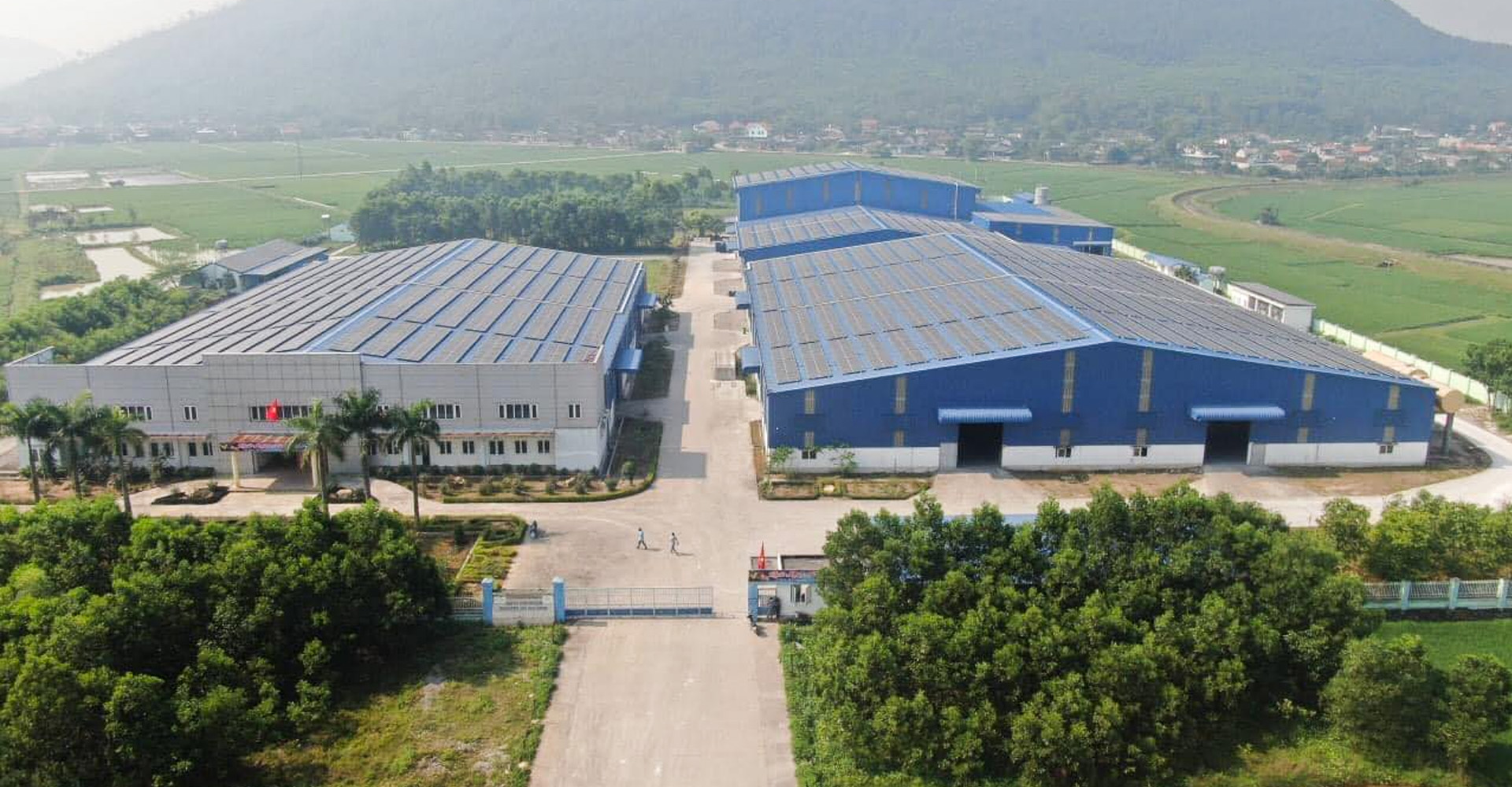 Vườn trồng hoa gia đình