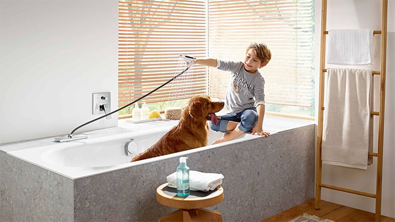 Cách diệt giun rết trong nhà tắm nhanh và đơn giản