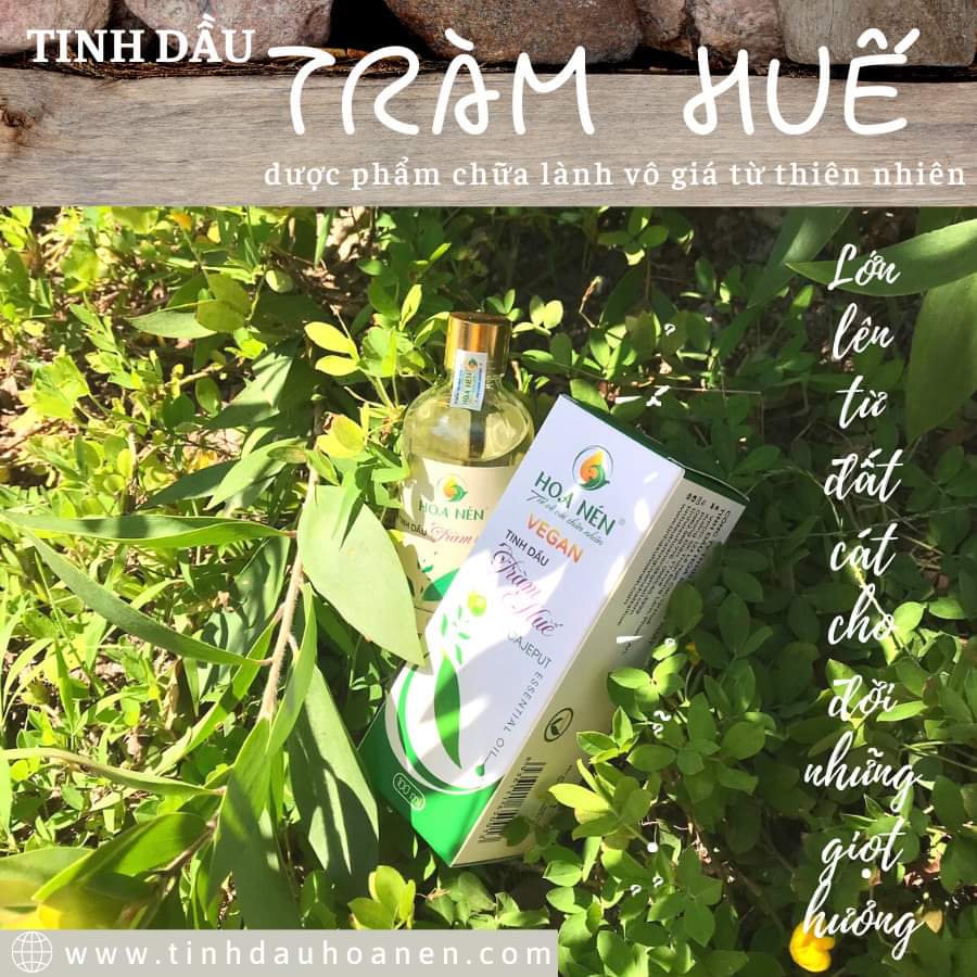 tinh dầu tràm Hoa nén 100ml