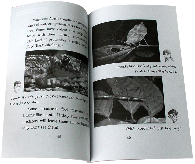 Magic treehouse Fact tracker (Sách nhập) - 44 quyển