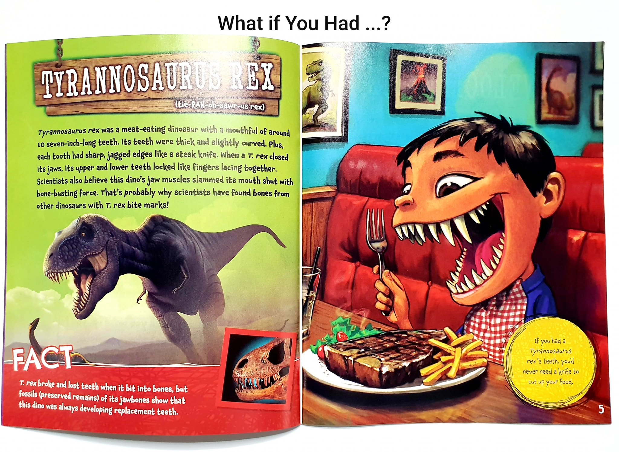 What If You Had Animal (Sách nhập) - 12 quyển