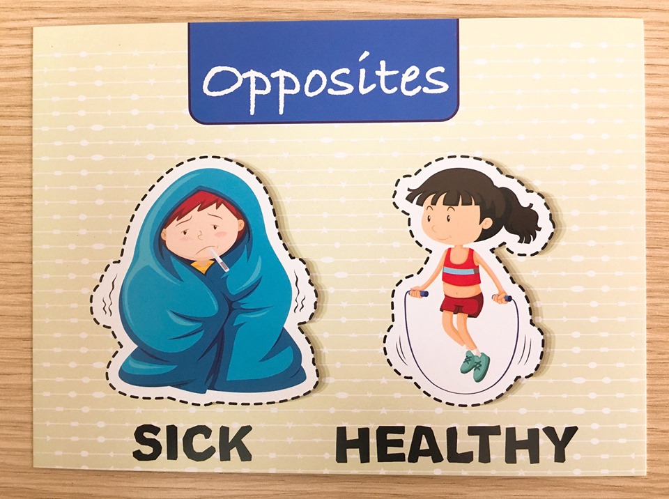 Flashcard - Bộ 100 thẻ từ vựng trái nghĩa