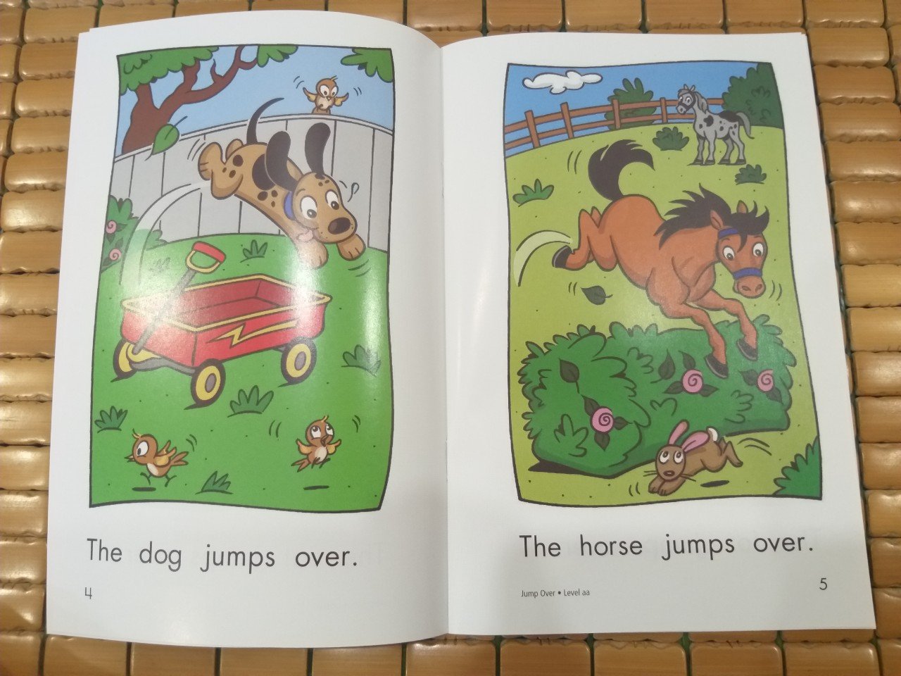 Razkids level AA (Sách nhập) - In rời 103 quyển + quiz