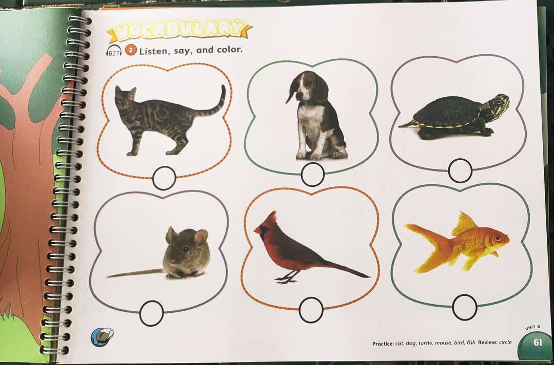 My Little Island - Là bộ sách Tiếng Anh được biên soạn theo những kiến thức phù hợp với trẻ trong độ tuổi mầm non.