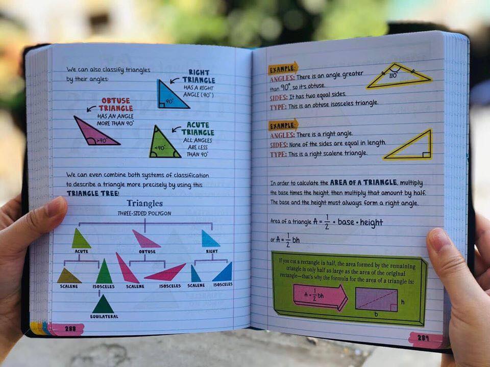 Everything You Need To Ace Math In One Big Fat Notebook (Sách nhập) - 7 quyển mới nhất