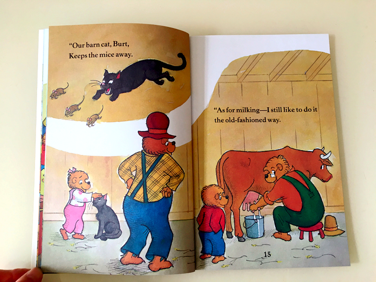 The Berenstain bears (Sách nhập) - 34 quyển