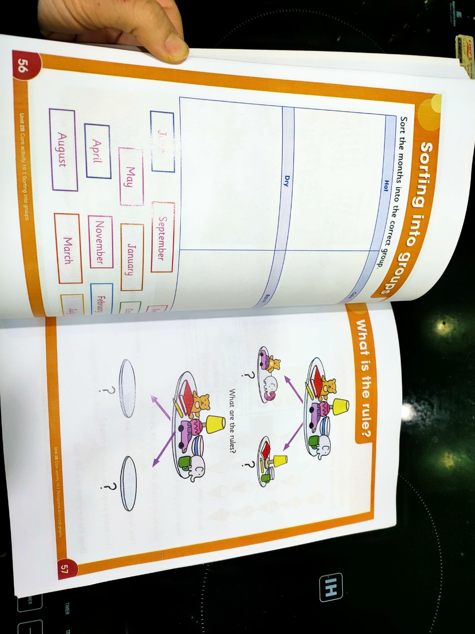 Cambridge Primary - Level 1 - 5 quyển - Phiên bản 1