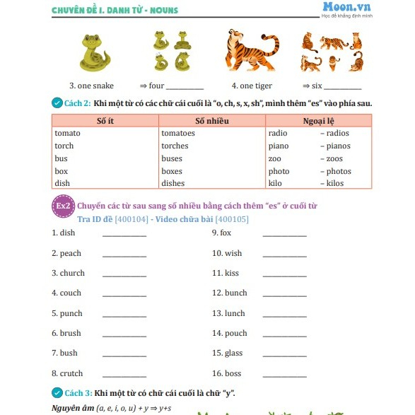 Bí kíp chinh phục Ngữ pháp Tiếng Anh THCS