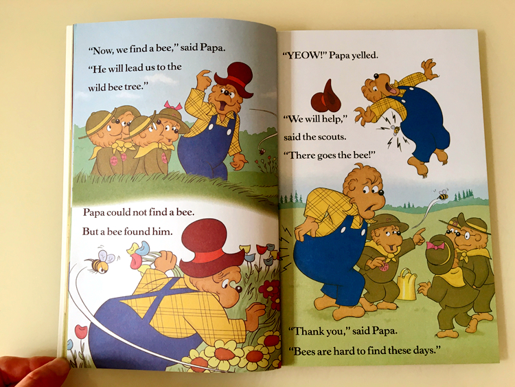 The Berenstain bears (Sách nhập) - 34 quyển