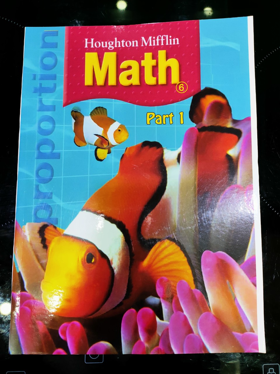 SÁCH TOÁN MỸ Houghton Mifflin - Grade 6 - Dành cho các bé lớp 6