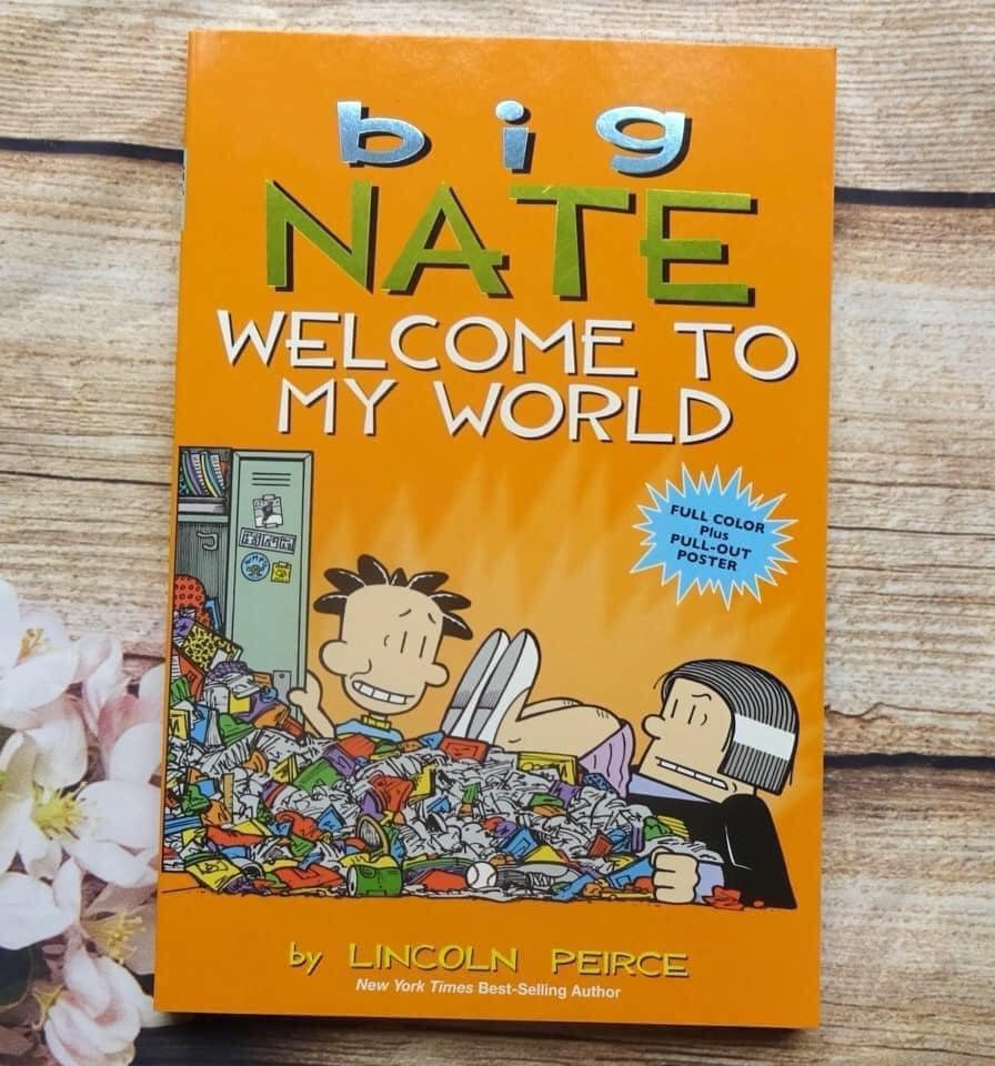 Big Nate (Sách nhập) - 12 quyển - Bản màu