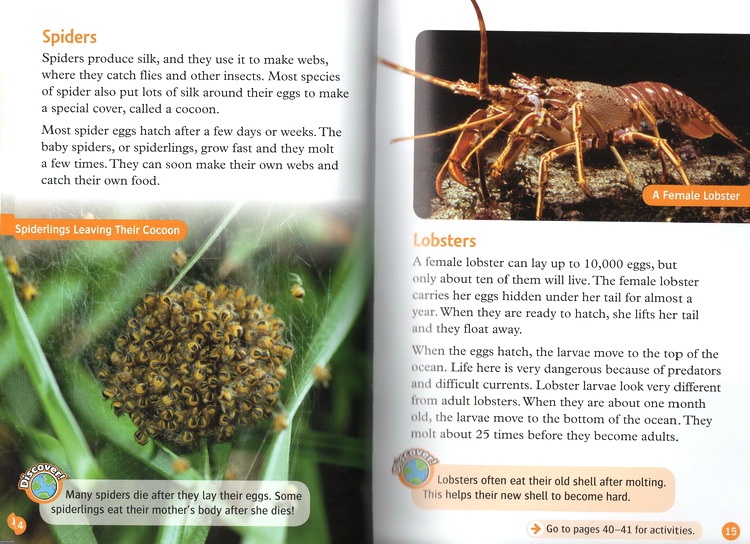 Oxford read and discover (Sách nhập) - Level 5 - 14 quyển + File Mp3