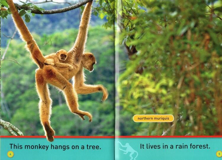 National geographic (Sách nhập) - Pre K - 30 quyển + File Mp3