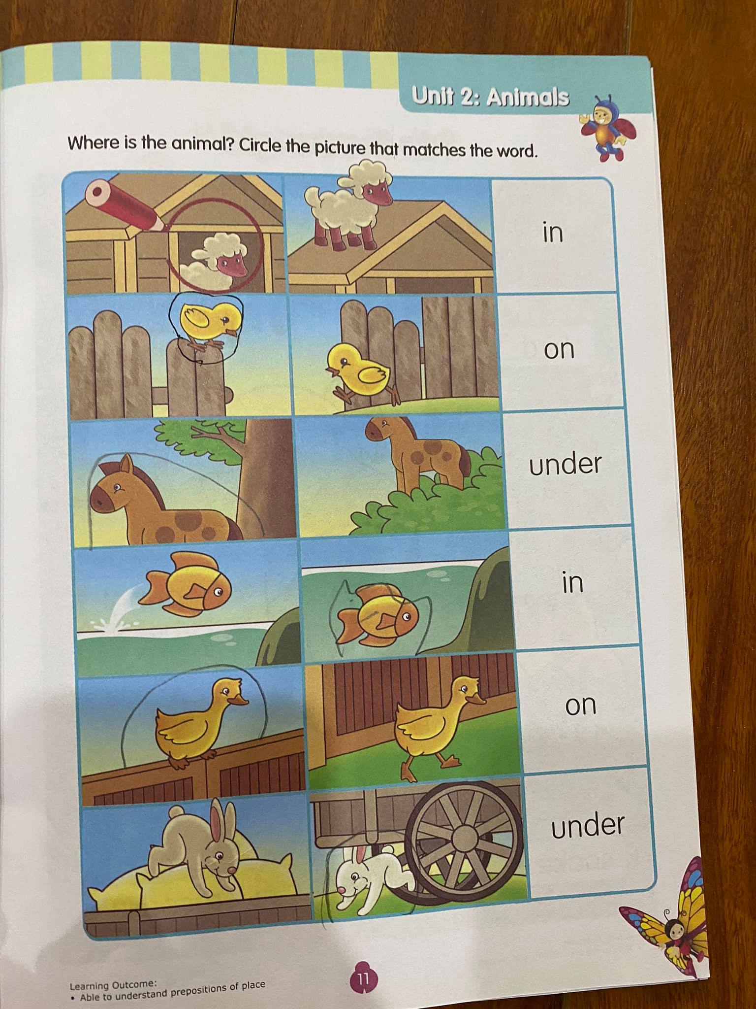 Rainbow math, science, english (Sách nhập) - 24 books