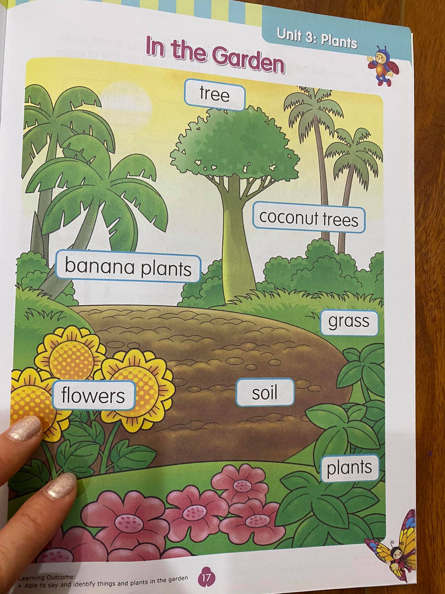 Rainbow math, science, english (Sách nhập) - 24 books