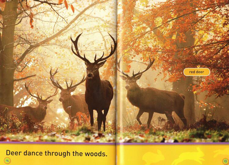 National geographic (Sách nhập) - Pre K - 30 quyển + File Mp3