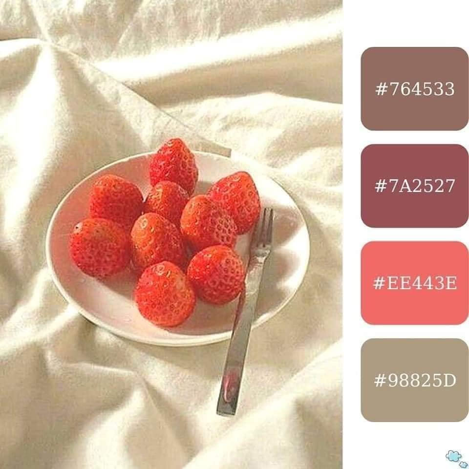 Tài Khoản Canva Pro - Gói 1 năm