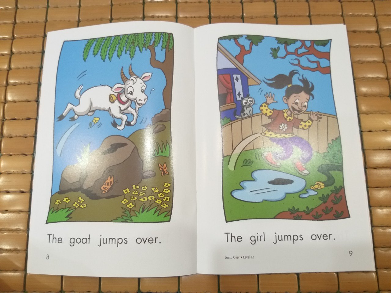 Razkids level AA (Sách nhập) - In rời 103 quyển + quiz