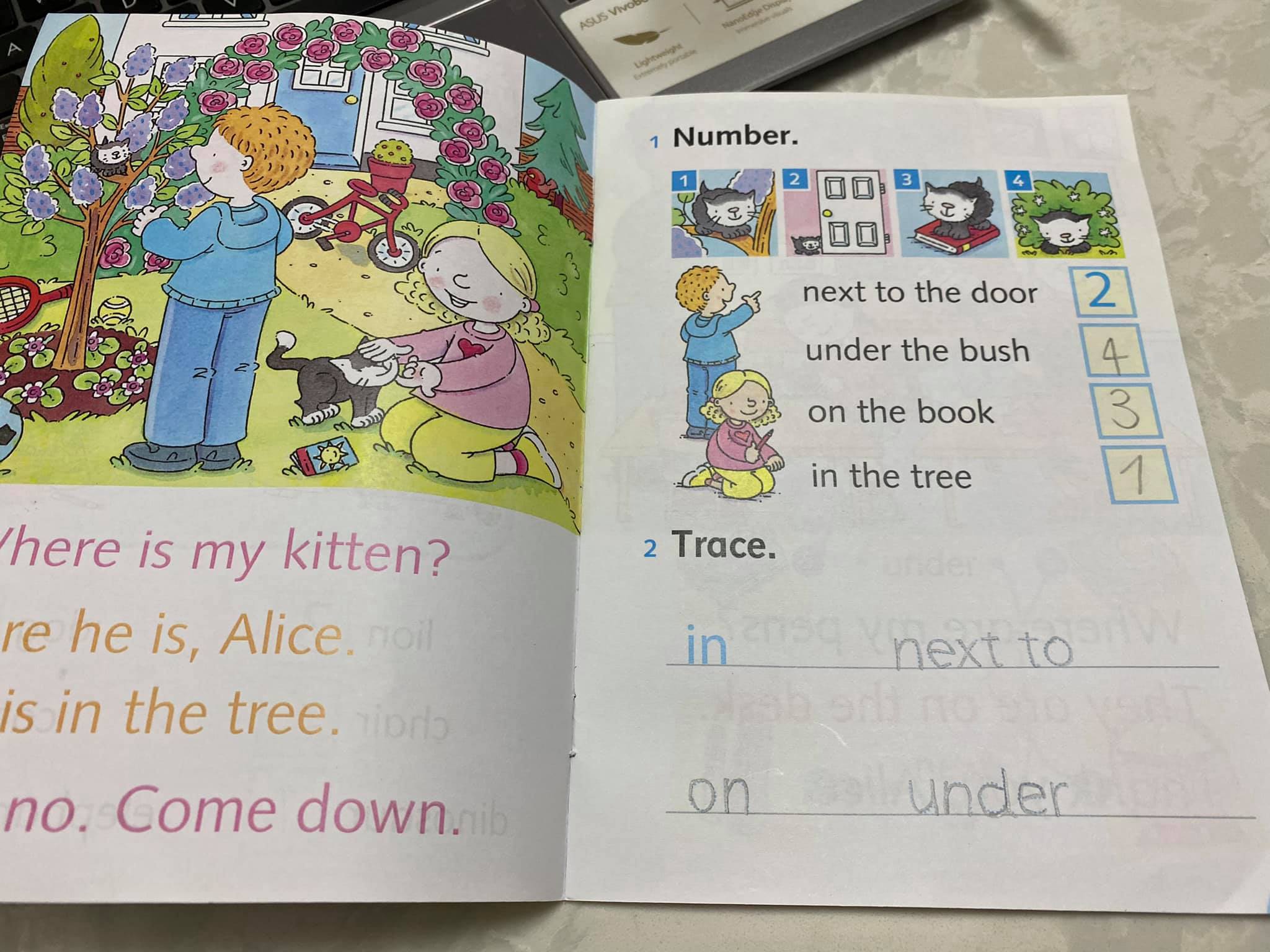 DOLPHIN READER - BỘ 35 QUYỂN 5 LEVEL