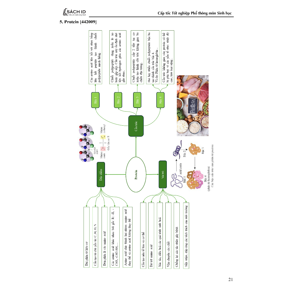 Cấp tốc Tốt nghiệp phổ thông môn Sinh học