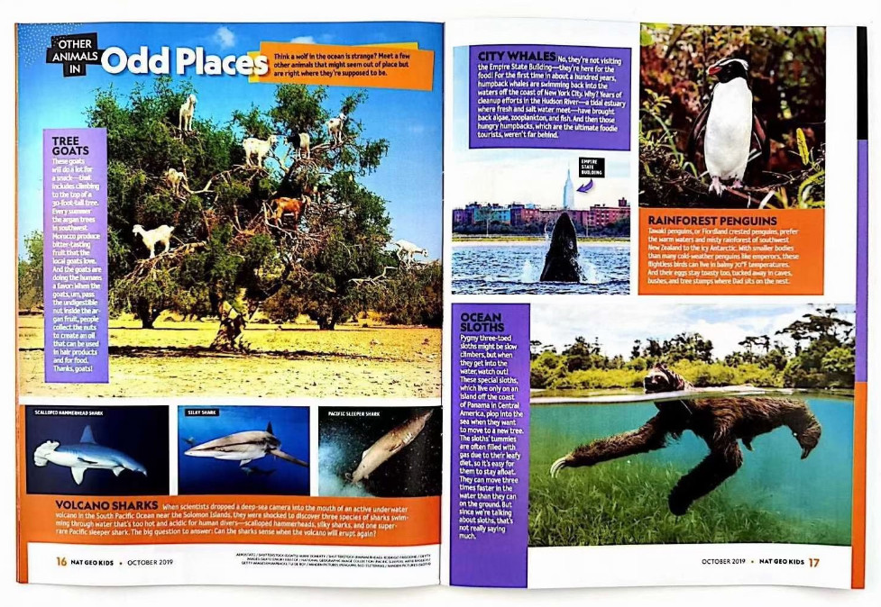National Geographic Little Kids (Sách nhập) - 18 quyển
