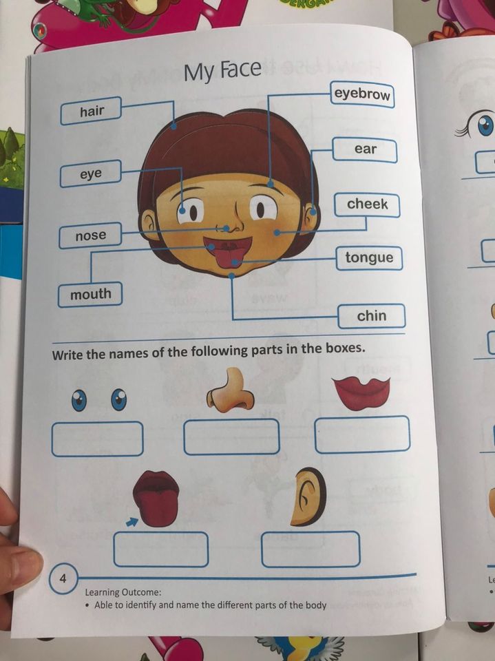 Rainbow math, science, english (Sách nhập) - 24 books