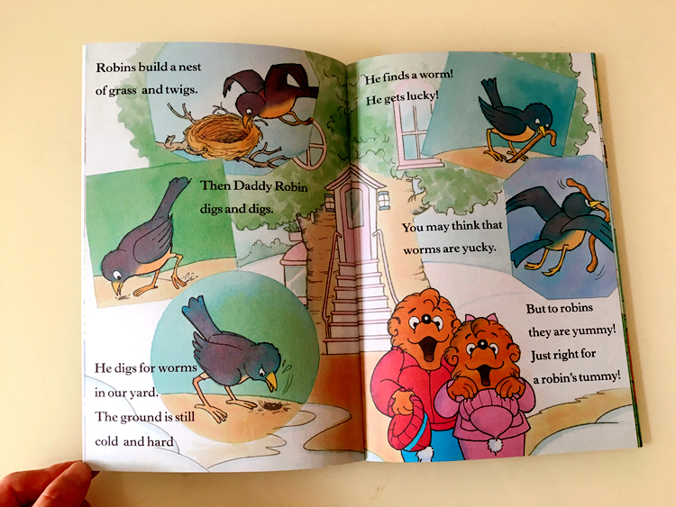 The Berenstain bears (Sách nhập) - 34 quyển