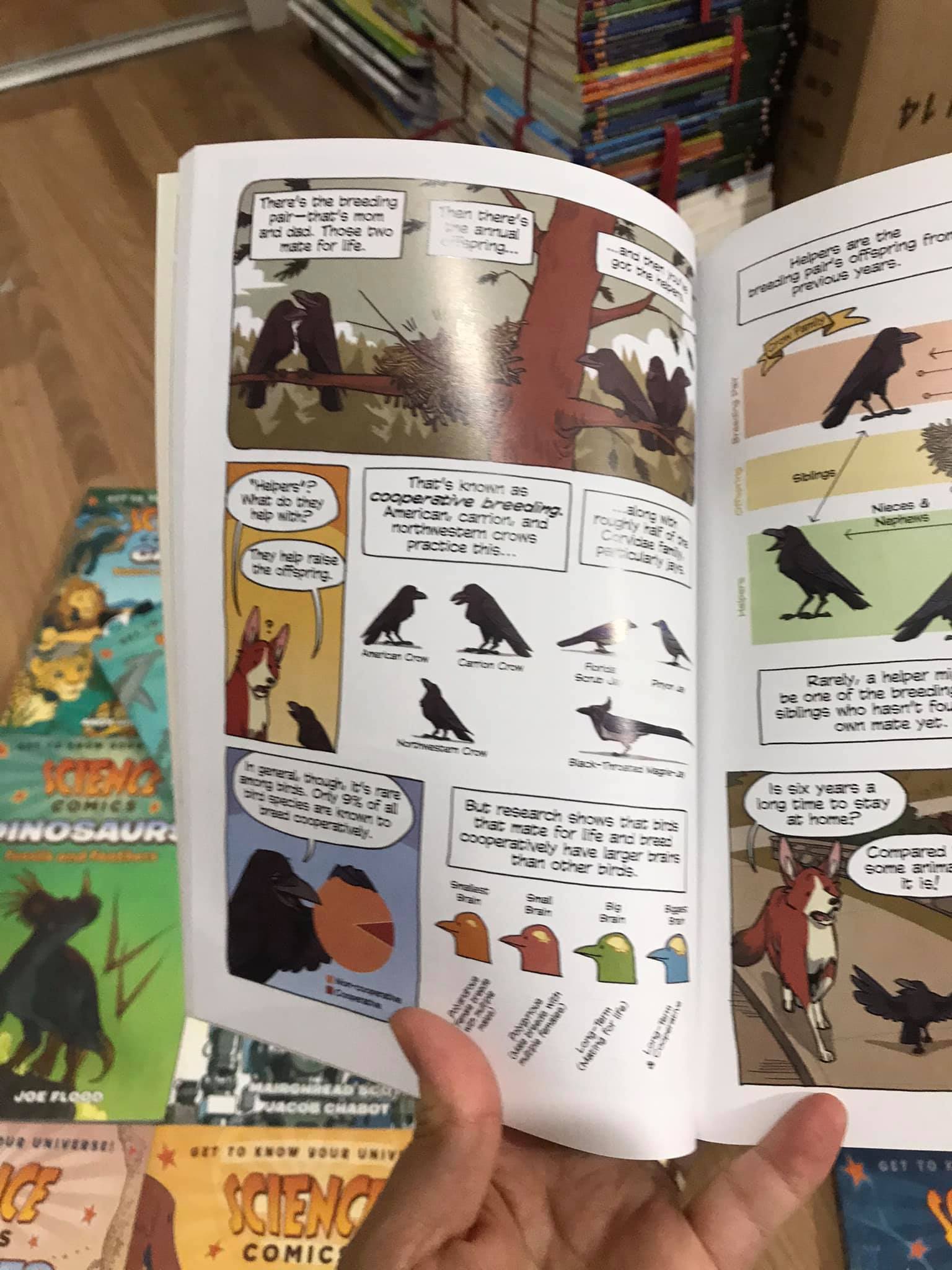 Science Comics (Sách nhập) - Full bộ 30 quyển mới nhất